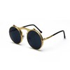 qinqilanqi-S Retro Metal Steampunk Flip-Up Sunglasses for Men and Women,