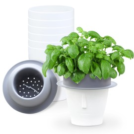 Oliz Self Watering Planter 6 Pcs, Flower Plant Pot with Inner Pot, Gardening Flowerpot with Watering Can, Indoor Self Watering Planter Pot for Herbs, Flowers, Fruits (Grey, 4.5IN)