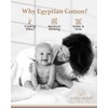 Luxury 100% Egyptian Cotton 1 Piece 1000 Thread Count Soft