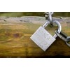 ABUS 28644 Stainless Steel Shackle Brass Padlock with 7561 Reversible