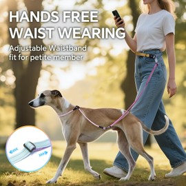 QQPETS Adjustable Slip Lead Dog Leash, Hands Free Waist Leash for Dog Walking, Reflective Training Lead with 360° Swivel Anti-Tangle, 4-7 ft Length for All Breeds