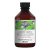Davines Renewing Shampoo 250ml