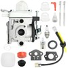 Newnessai A021004700 Carburetor Tune Up Kit, Replacement for Echo PB-2520