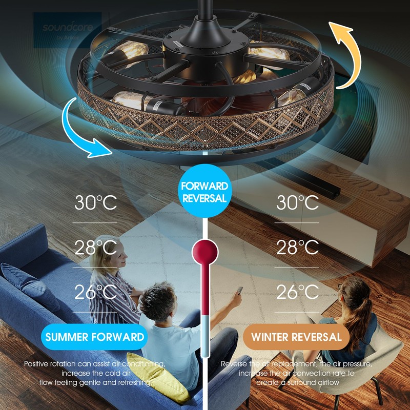 SHIHOT 18" Black Caged Ceiling Fan with Lights, Bladeless Industrial