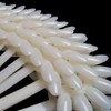 Generic Ivory False Nail Art Fan Board Tips Stick Polish