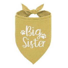Big Sister Bandana for Dog, Dog Pregnancy Announcement, Big Sister Dogs Shirt, Pet Bandana for Small Medium Dogs, Gender Reveal Triangle Bibs Accessories (B3)