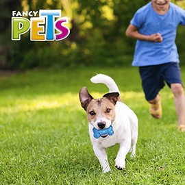 Fancy Pets Juguete Hueso Prisma para Perro Tamaño Chico con Sonido                                                                                    