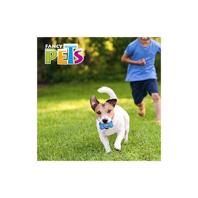 Fancy Pets Juguete Hueso Prisma para Perro Tamaño Chico con