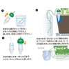 Maruhachi Industries Watering Sentries Houseplant Waterers, MFH405
