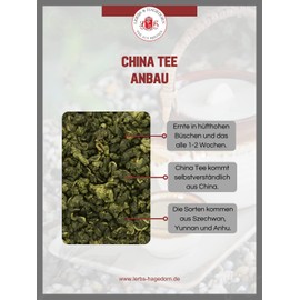Lerbs & Hagedorn, Organic Tea China Temple of Heaven | Herb 250 g (approx. 20 Litres) Green Tea, Gunpowder, Harvest Time in April, China Tea