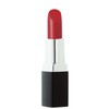 Jolie Rouge Lip Color Matte (Speak Up)