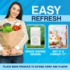 NonScents Refrigerator Deodorizer – Odor Eliminator for Fridge & Freezer