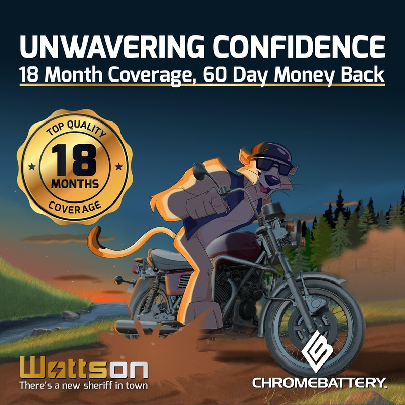 CB CHROMEBATTERY 12V 5.8AH Maintenance-Free Battery for Alarm Systems, Scooters,