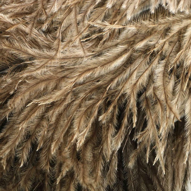 TEAMWILL 2PACKS 13" Ostrich Feather Duster Durable Dust Collecting Cleaning