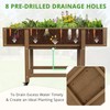 LUE BONA Raised Garden Bed with Wheels, 48 * 16.7