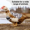Chicken Saddle for Hens Chicken Aprons & Vest Jacket for
