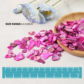 EDSRDUS Natural Crushed Shells Chips Irregular Mother of Pearl Seashell Fragments Sea Shell Pieces for DIY Crafts, Vase Filler, Decorating, Home Décor