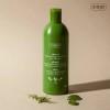 Giaja 지아자 내추럴 올리브 샴푸 400ml 4개 Giaja Natural Olive