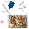 DIAMOND DOTZ ® - Tigers, Full Drill, Square Dotz, Square