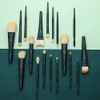 EIGSHOW Juego de brochas de maquillaje profesional de 18 piezas