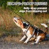 PUPTECK Escape Proof Dog Harness with Padded Handle, No Pull