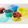 Hutzler 3-in-1 Berry Keeper Colander and Container, Keeps Berries Fresh