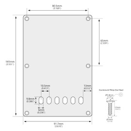Banworks 4 Ply Strat Back Plate 6 Hole Tremolo Cover for Electric Guitar with Tremolo for China Made Squier Strat ST JT/HGB-02 Dark Brown Tortoiseshell