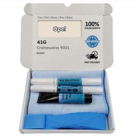 Genuine Colors Paint Pen Cream White 9001 41G for Opel Silver Adam