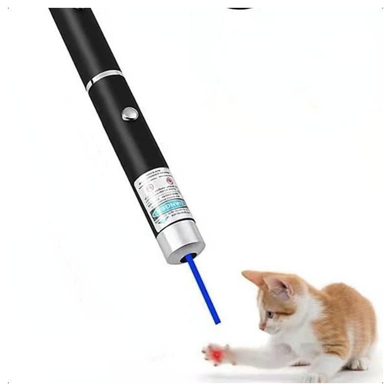 Pointer Pen for Cats Dogs Pet Laser Pointer Cat Toys
