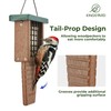 Kingsyard Recycled Plastic Suet Feeder, Tail Prop Suet Feeder for
