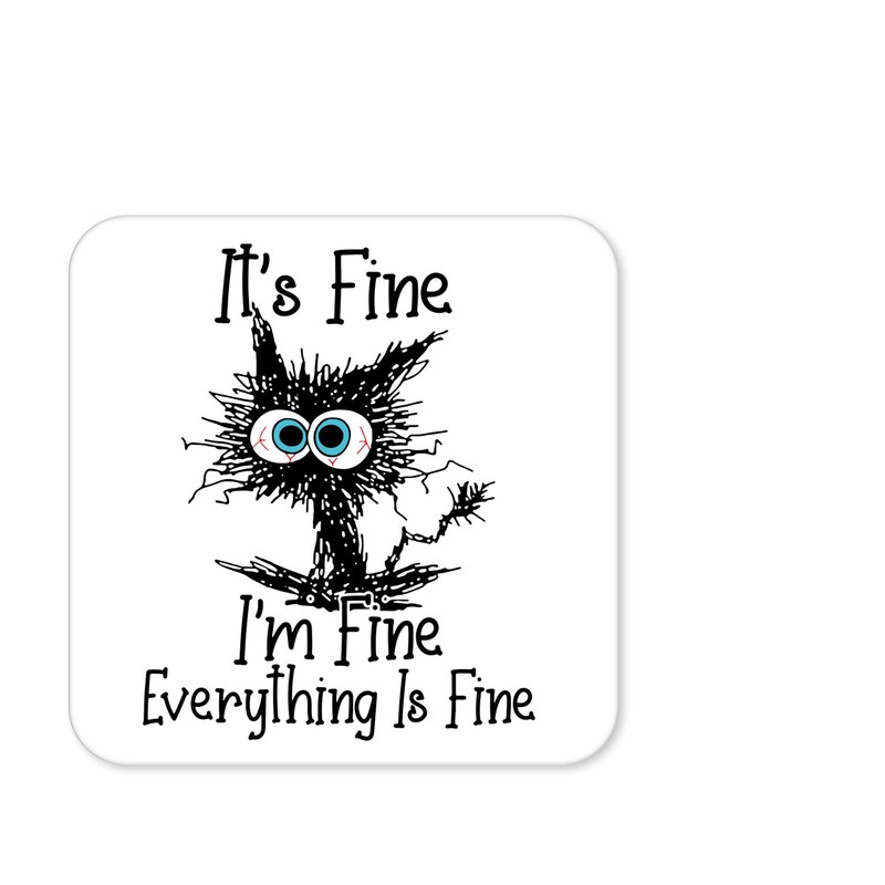 Coaster Cat Its Fine I'm Fine Everything is fine joke