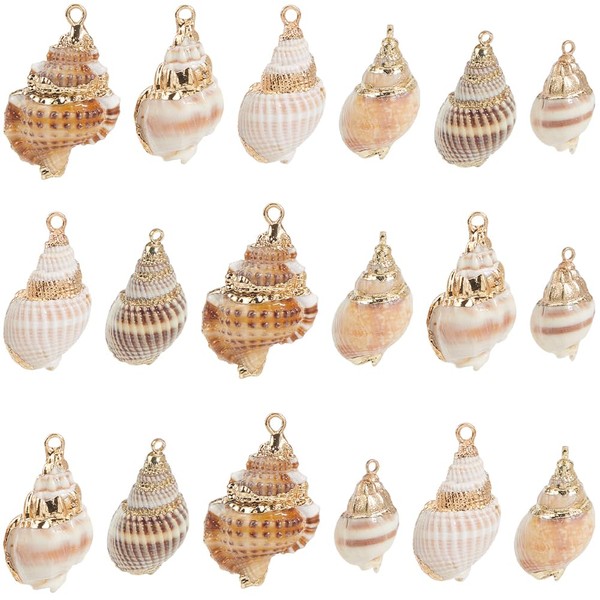 SUNNYCLUE 1 Box 24Pcs 6 Styles Conch Shell Charm Bulk