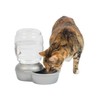 Petmate Replendish Automatic Gravity Waterer for Cats and Dogs, BPA-Free,