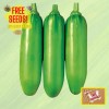 Straightup Nature Fresh Korean Squash King Ka Ae Seeds |