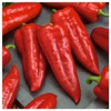 Everwilde Farms - 25 Organic Marconi Red Sweet Pepper Seeds