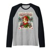 Jack Russell Terrier Snow Dog Christmas Santa Claus Elf Raglan
