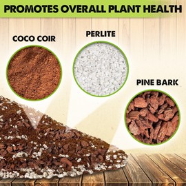 DUSPRO Recycle Money Tree Soil, Premium Coco Coir Perlite Mix and Pine Bark for Money Tree Soil, Ideal Money Tree Soil for Healthy Growth and Nourishment (6 Quarts)