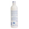 Free & Clear Shampoo, 12 oz (Pack of 3)
