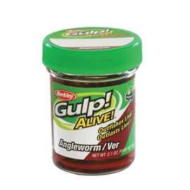 Berkley Gulp! Alive!® Angle Worm, Red Wiggler, 1- Inch