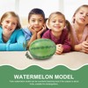 VOSAREA Foam Watermelon Model Foam Watermelon Simulation Watermelon Models Lifelike