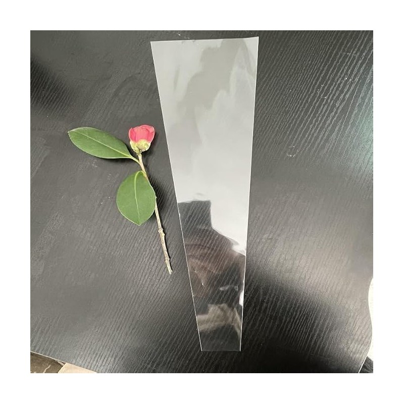 Gryshanyun 100Pcs Clear Plastic Flower Bouquet Bags for Rose Packaging,