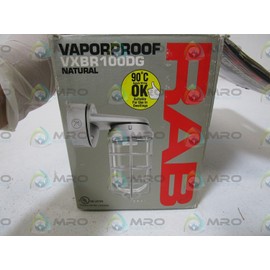 RAB Lighting VXBR100DG Vaporproof VXBR 4" Wall Bracket with Glass Globe and Cast Guard, A19 Type, Aluminum, 150W Power, 1/2" Hub, Natural