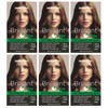 Brilliant Ten GOLDEN CHESTNUT No.5.3 - Permanent Hair Colour |