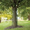 A.M. Leonard Mesh Panel Tree Guards, Pack of 10 Guards