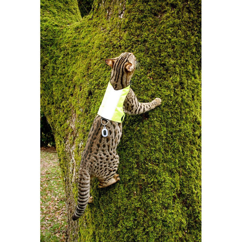 Mynwood Cat Jacket/Harness High Viz Adult Cat