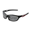 Gamakatsu GM1794 Dimmable Polarized Sunglasses, Smoke