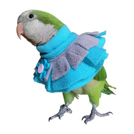 Parrot Neck Collar Pet Anti-bite Picking Feather Healing Protective Neck Cover Collar for Birds (3XL)