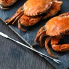 6 Pcs Seafood Forks Picks, Stainless Steel Lobster Fork Multitool