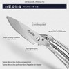 MITSUMOTO SAKARI 12 cm Japanese Kitchen Scissors, Silver-Plated Titanium Coating,