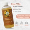 Shampoo Con Extracto De Árnica Regenerador Productos Mart Mexico 500